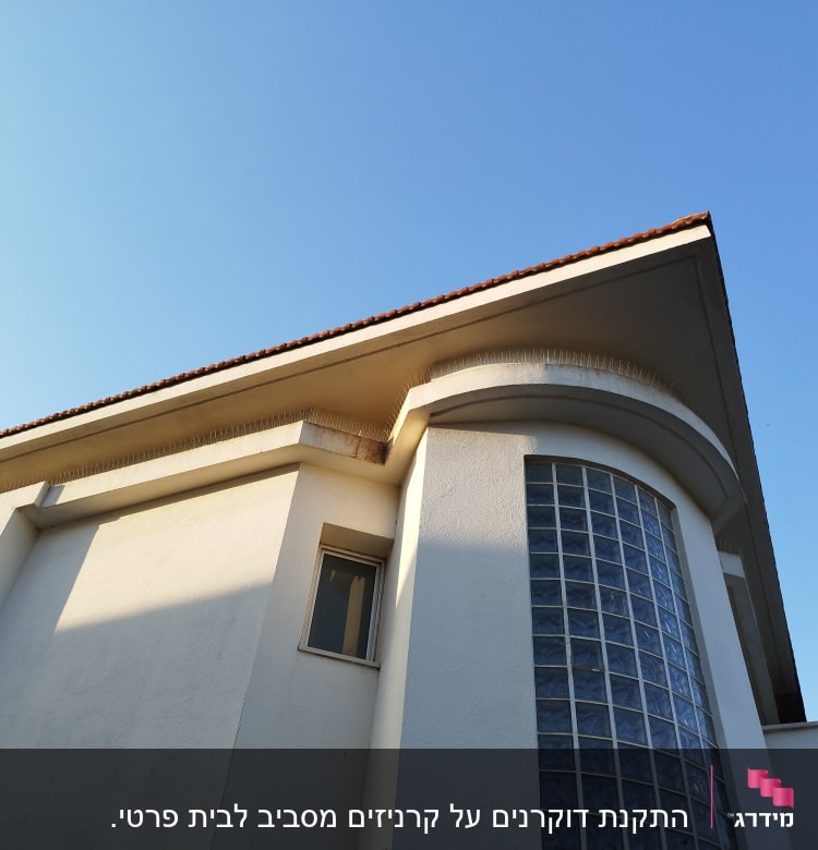 קוצים למניעת יונים על גג בניין